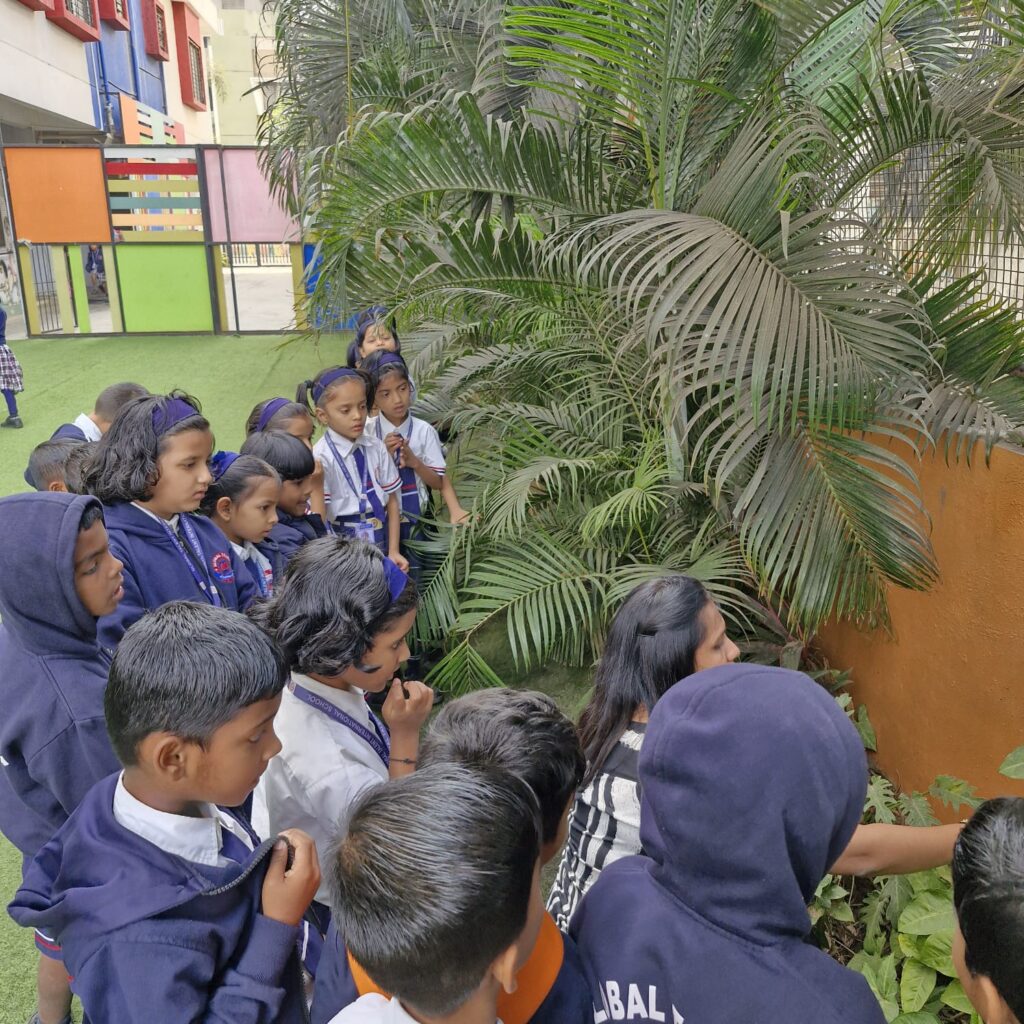GTIS Activity